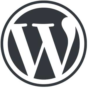 WordPress - Das Schweizer Taschenmesser für Deine Homepage